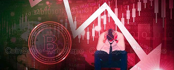 铭文投资避坑指南：这些平台我都帮你踩过点